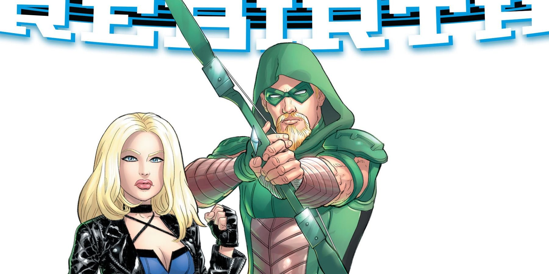 Green Arrow and Black Canary, by Steve Skroce