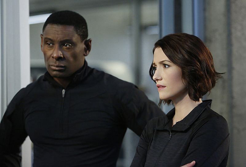Supergirl -- Medusa -- Image SPG208a_0086 -- Pictured(L-R): David Harewood as Hank Henshaw, and Chyler Leigh as Alex Danvers -- Photo: Bettina Strauss/The CW -- ÃÂ© 2016 The CW Network, LLC. All Rights Reserved