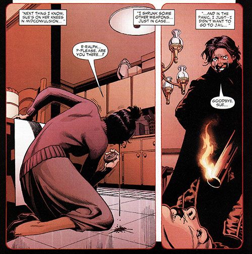 Jean Loring murdered Sue Dibny during Identity Crisis