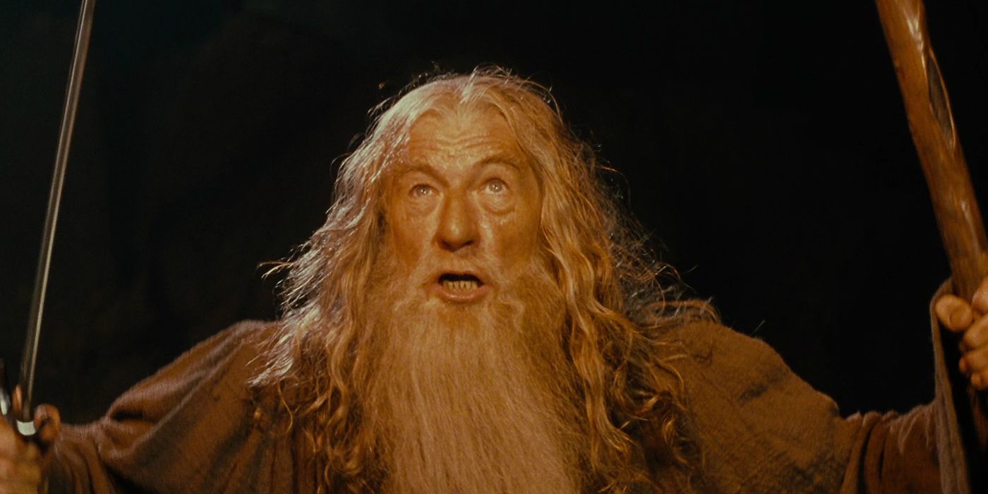Gandalf standing in front of the Balrog with his staff and sword raised in defiance.