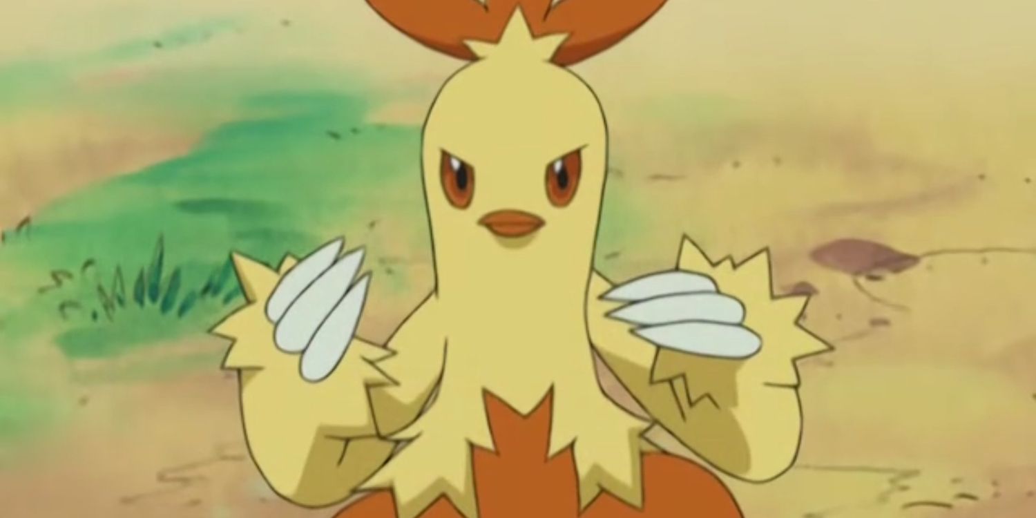 JPG alternativo de Combusken em Pokémon.