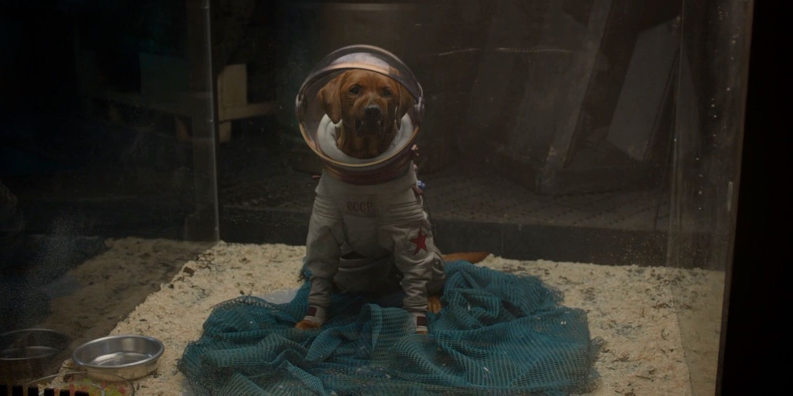Cosmo in Guardians of the Galaxy