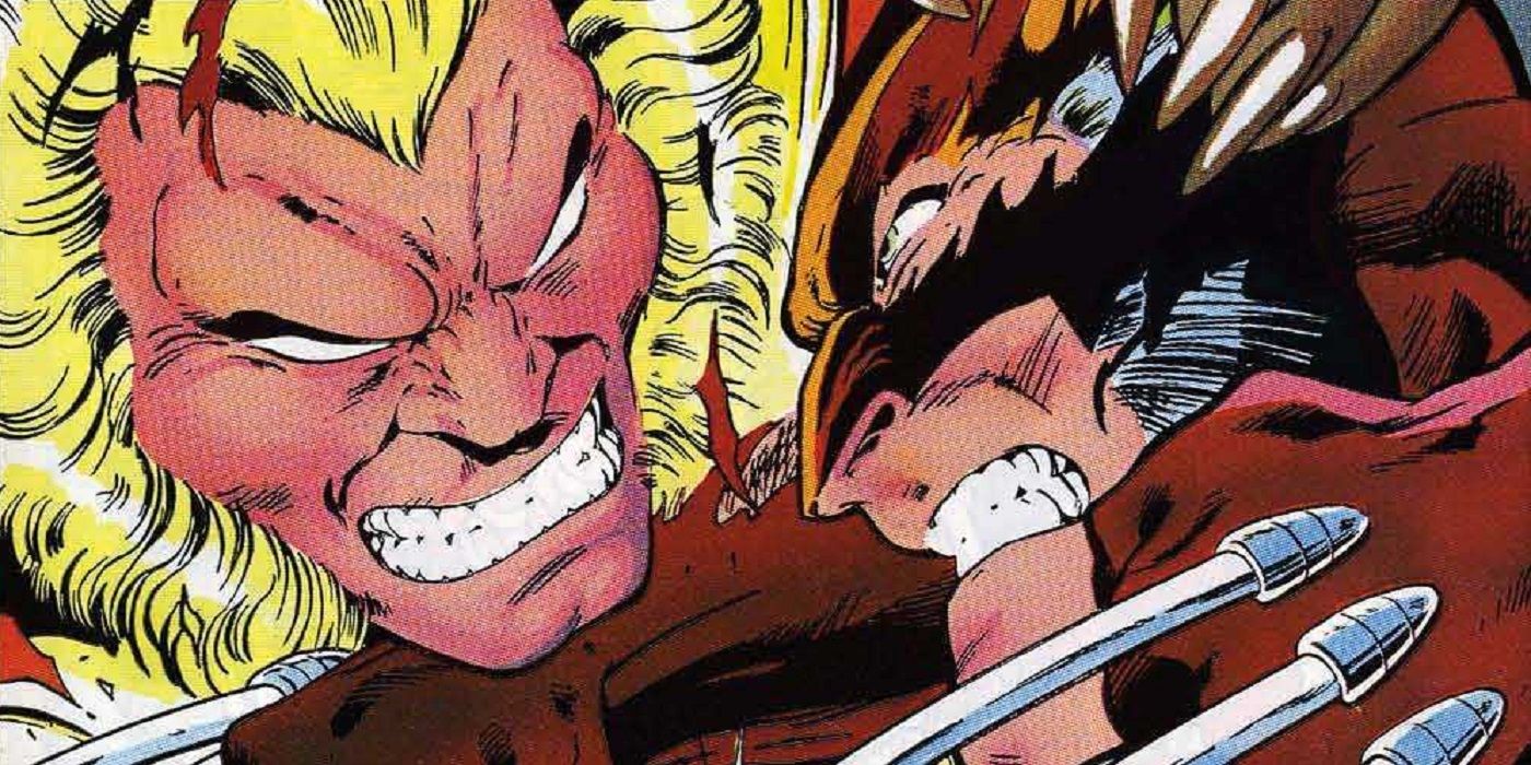 Sabretooth and Wolverine fighting on the cover of Marvel Comics' Uncanny X-Men (Vol. 1) #213