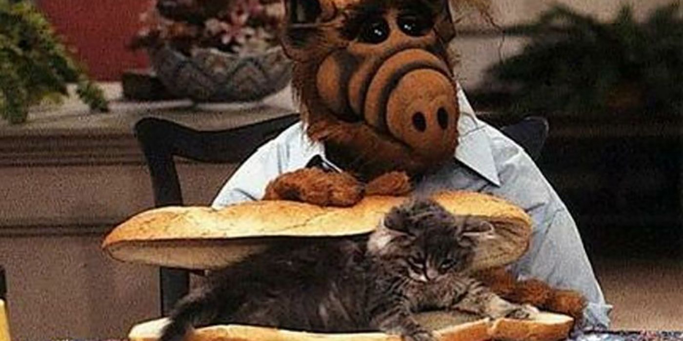 ALF gets ready to eat a cat sandwich in ALF