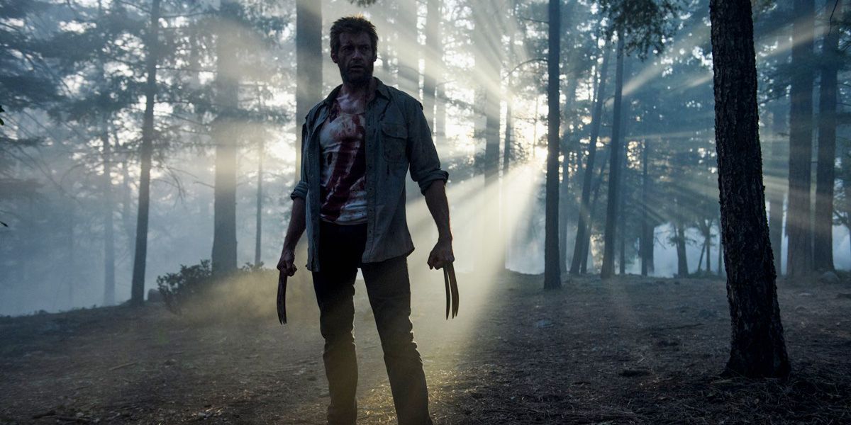 Logan silhouetted in the forest