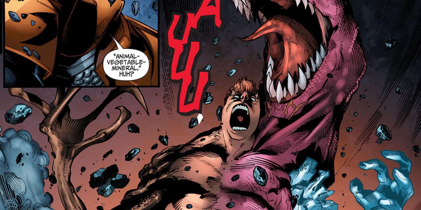 Animal-Vegetable-Mineral Man shapeshifter DC Doom Patrol