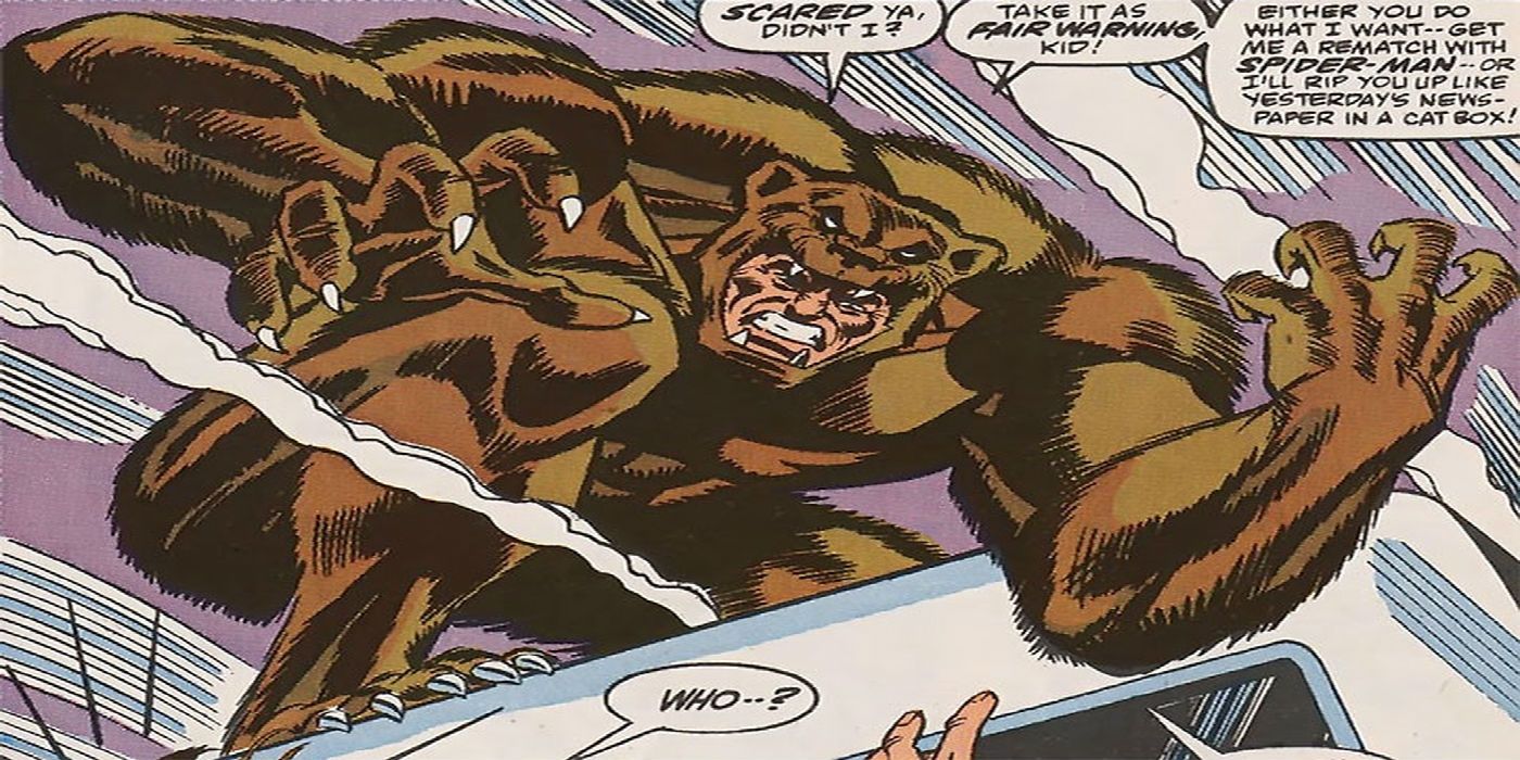 O Grizzly provoca o Homem-Aranha na Marvel Comics