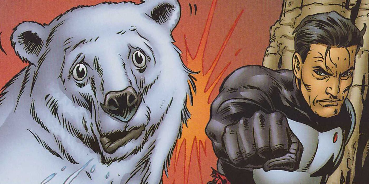 The Punisher punches a bear