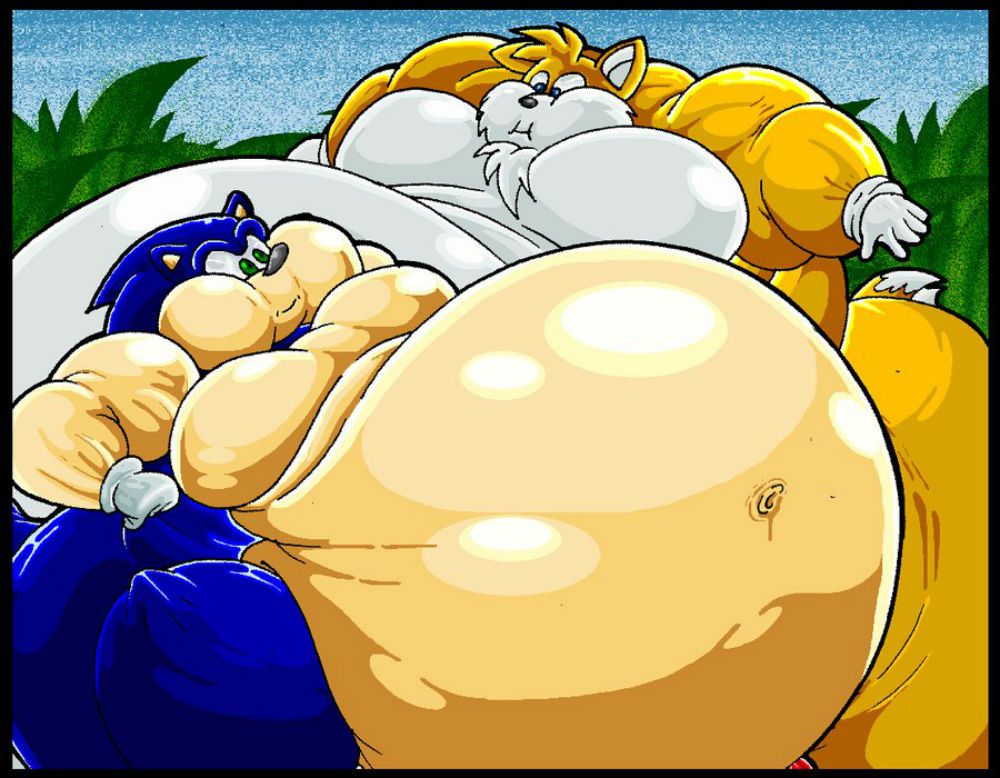 Fat Sonic and Tails