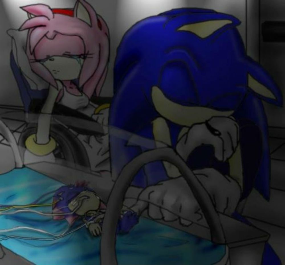 Sonic and Amy's Premature Baby