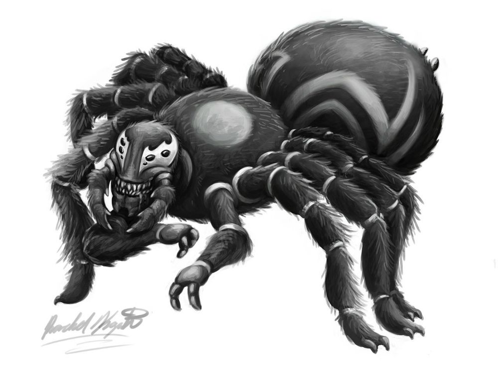 Venom Tarantula Fan Art