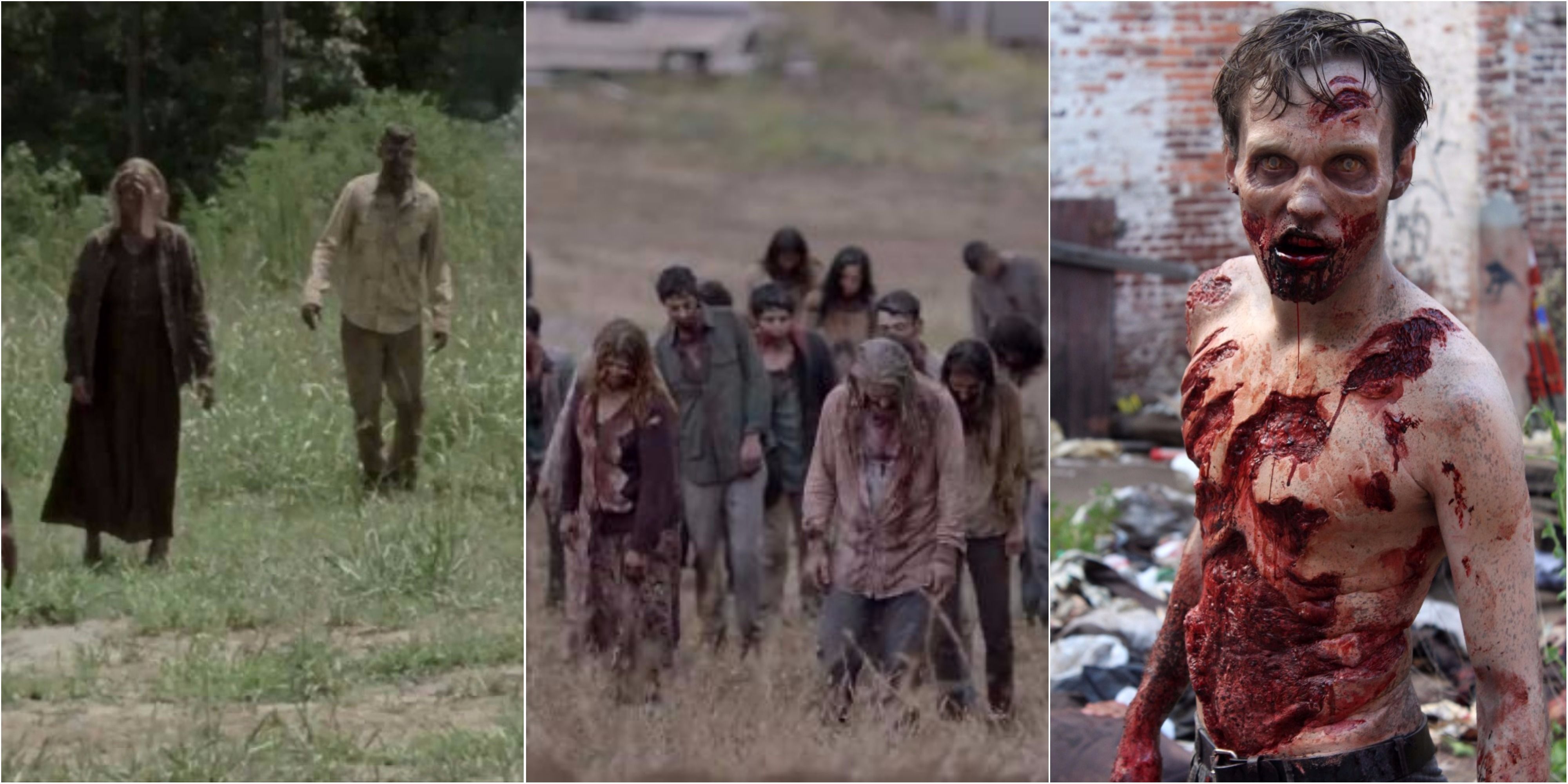 Different types of Walkers in the Walking Dead Show collage 1