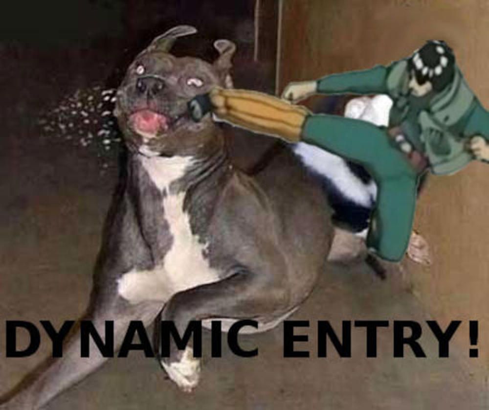 Gai dog Dynamic Entry (Naruto Memes)