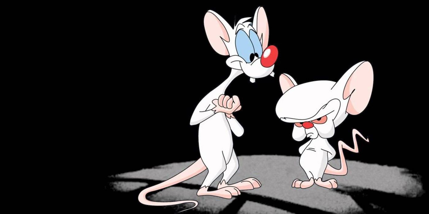 Pinky and the Brain standing in the dark