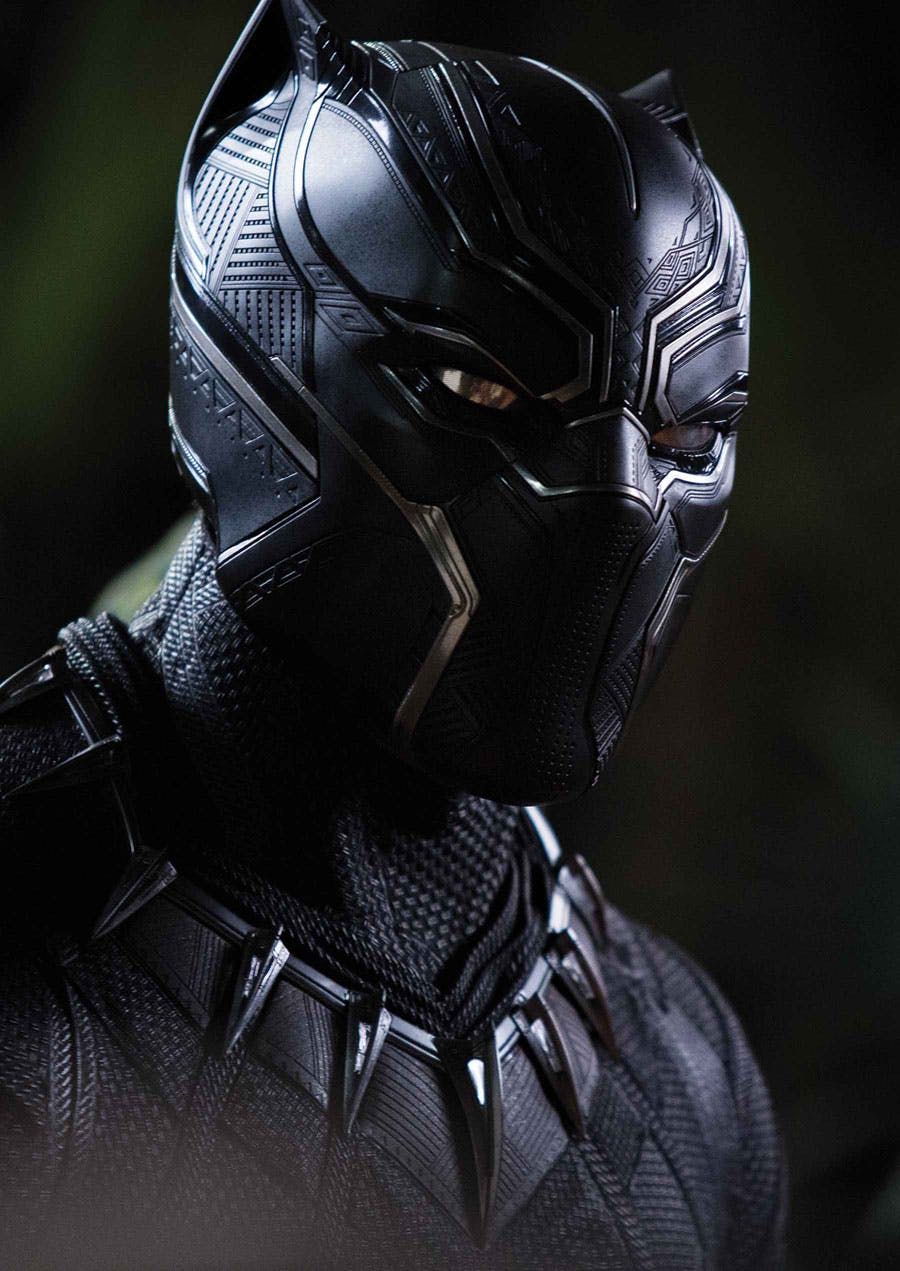 Black Panther Close-Up