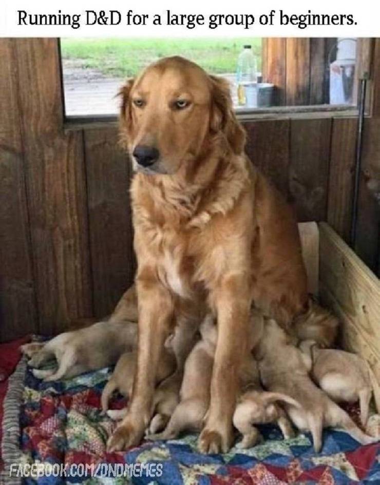 Savage Dungeons And Dragons Memes Cbr
