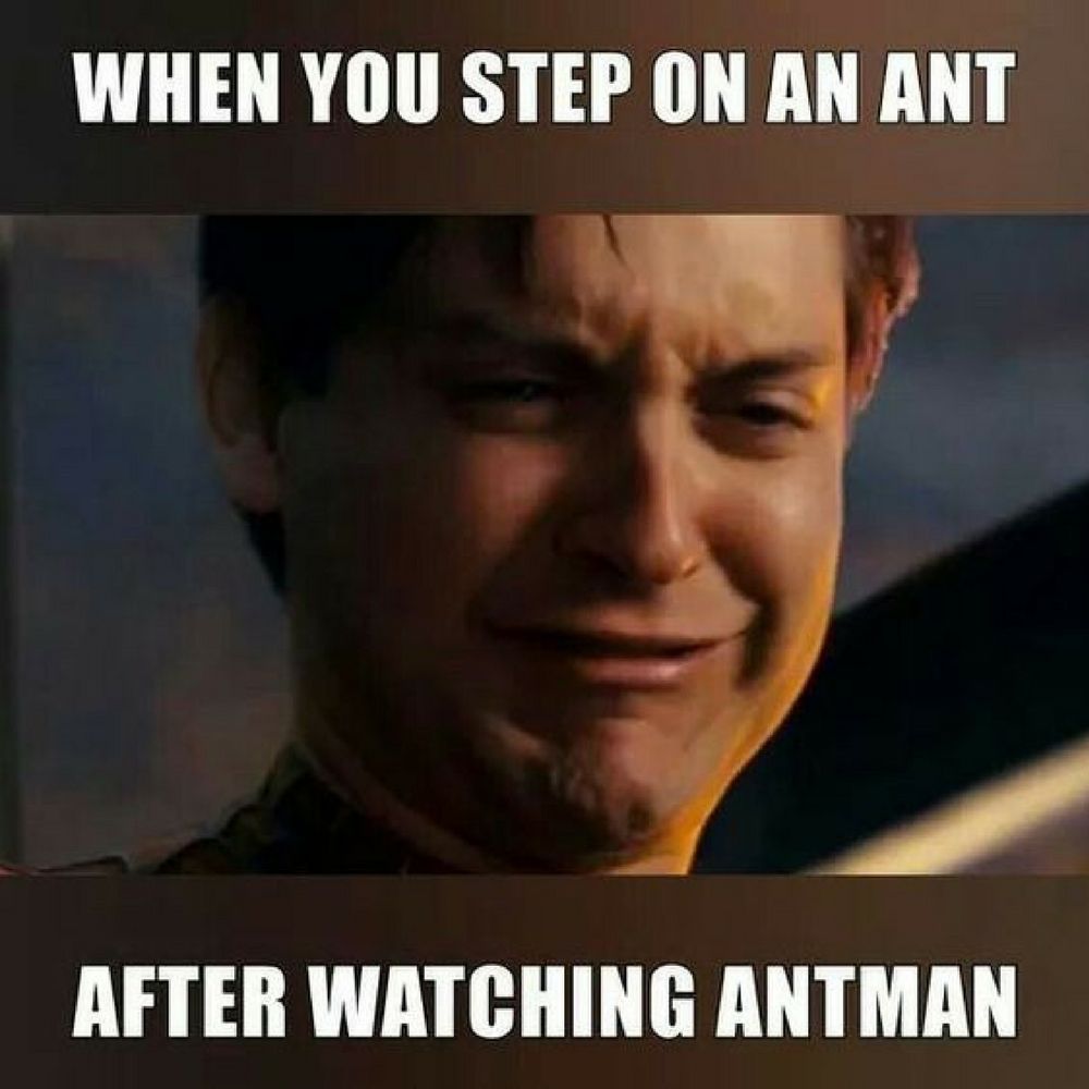 Emo Spider-Man Ant-Man meme