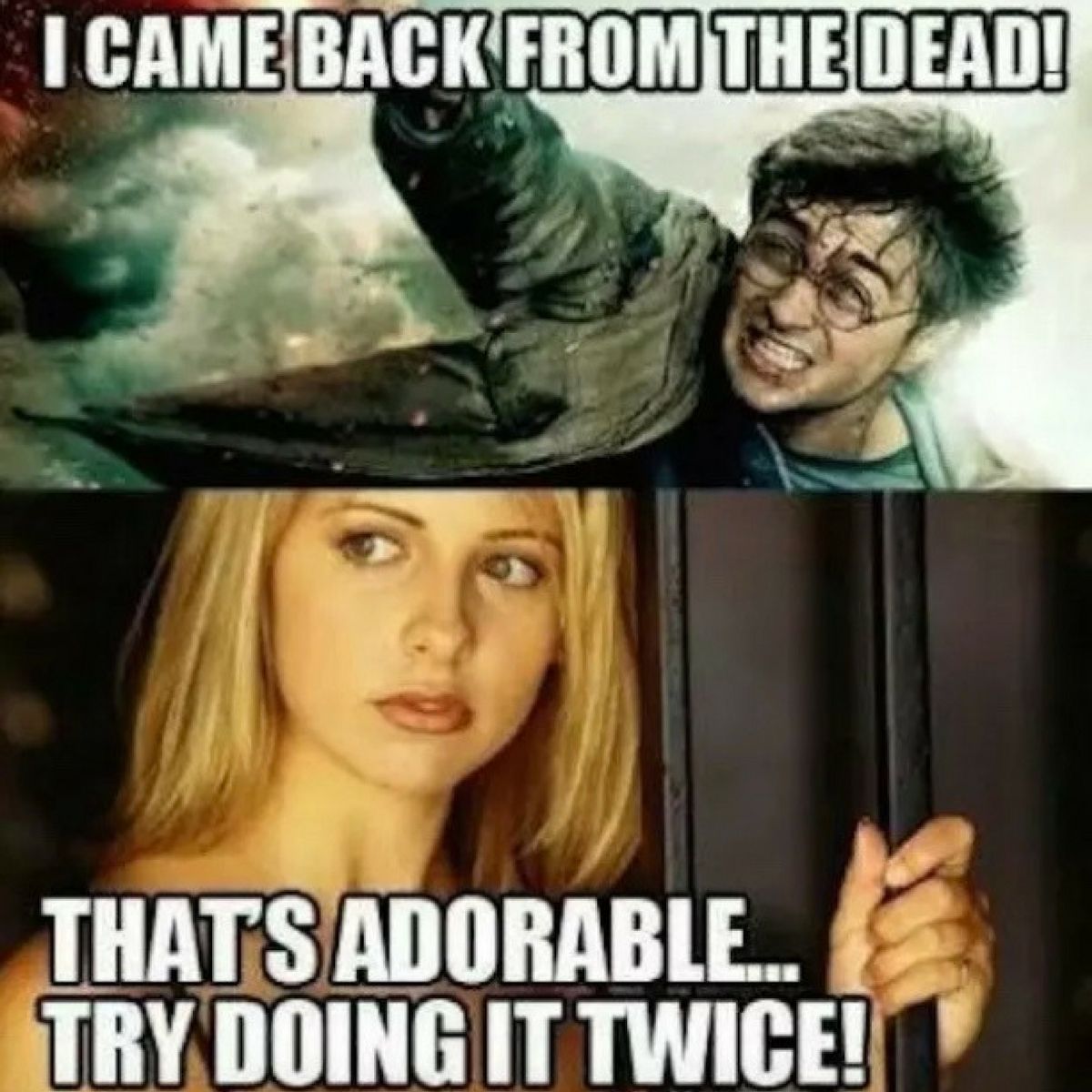 Harry Potter Buffy the Vampire Slayer meme