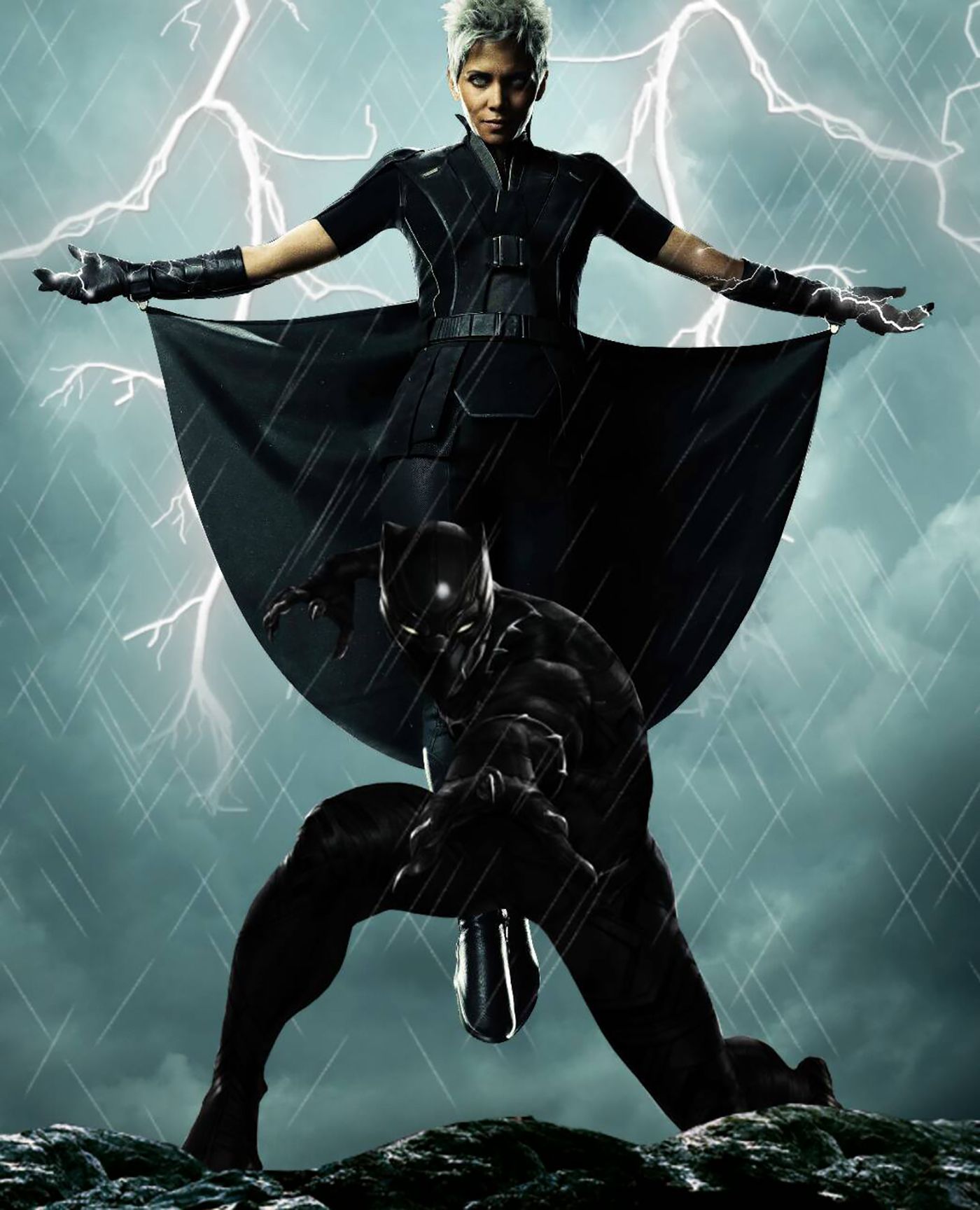MCU X-Men Black Panther Storm