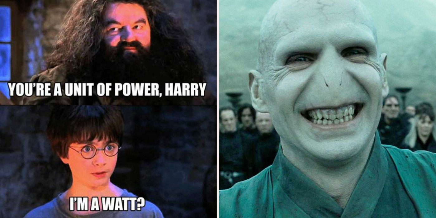 Harry Potter funny memes only true fans can understand