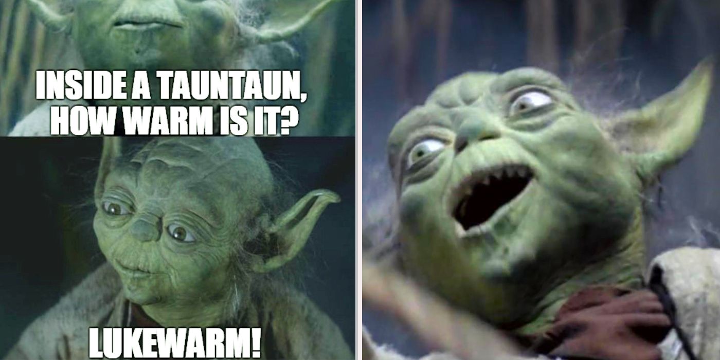 Hilarious Yoda Memes