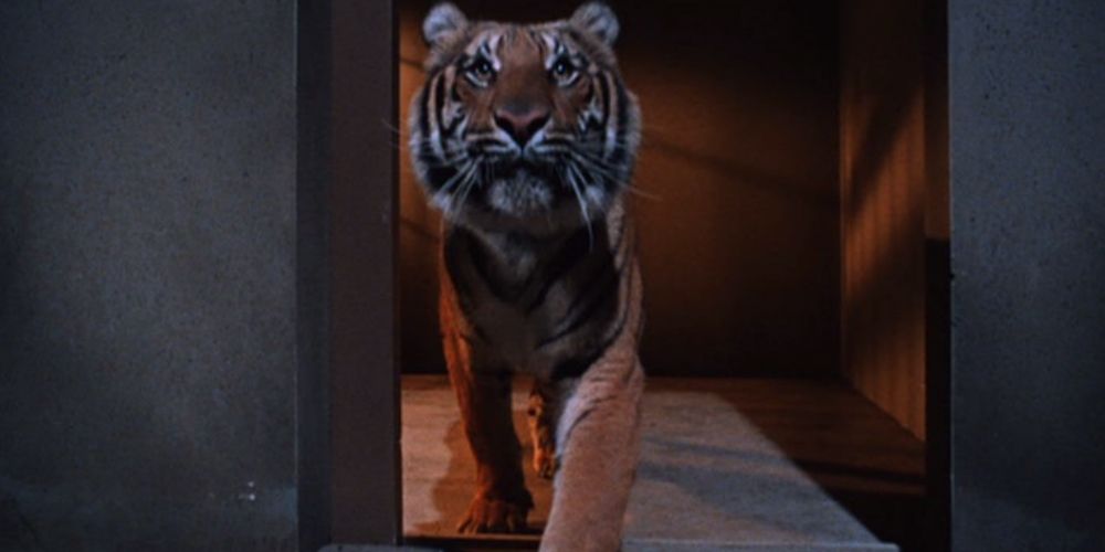 Batman 1966 Tiger