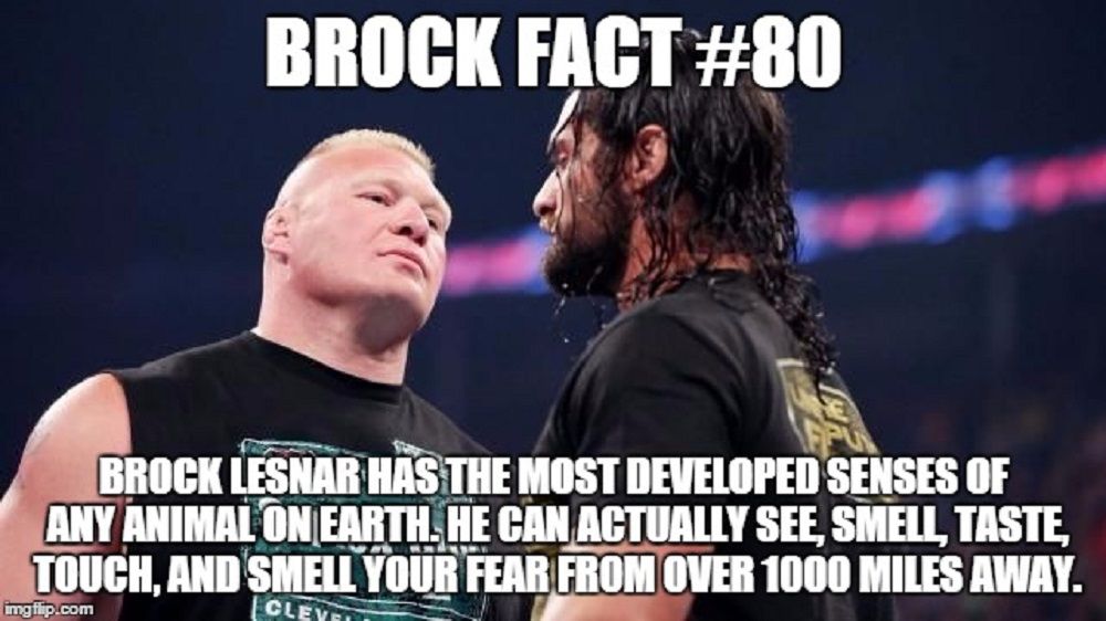 Brock Lesnar Meme