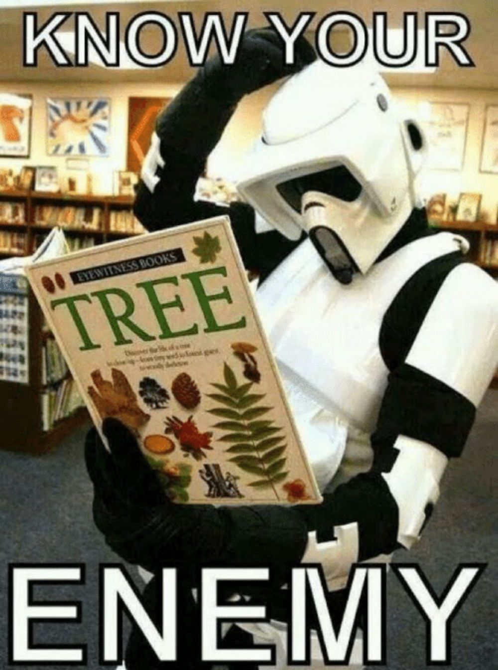 Stormtrooper Meme 11