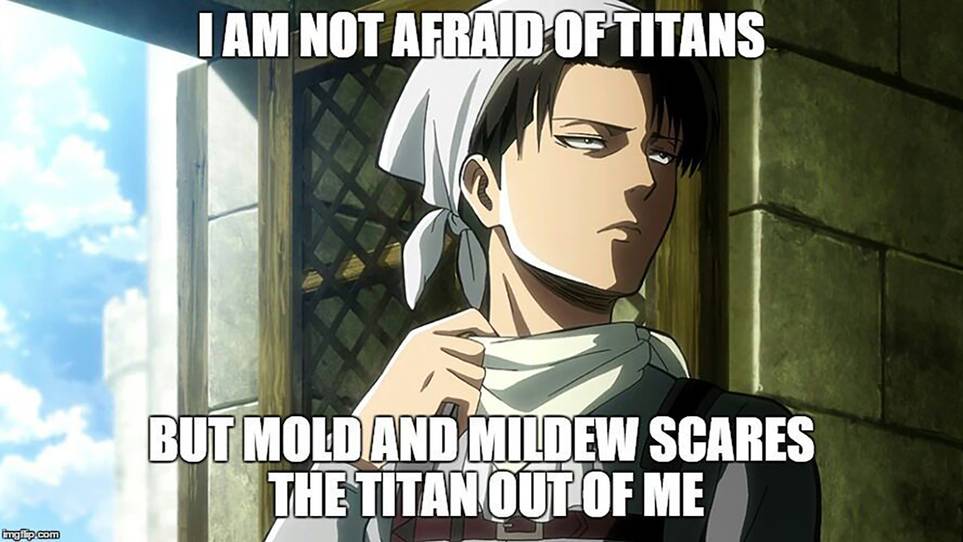 Funny Attack On Titan Quotes Quotesgram