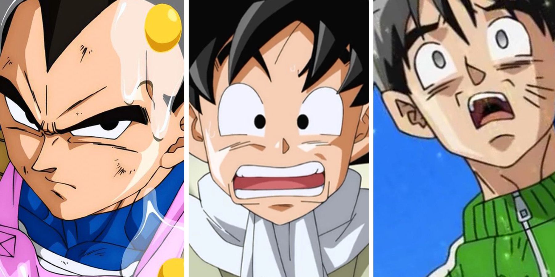 Vegeta Goku Trunks Yamcha Krillin Piccolo And Tien In The Cell