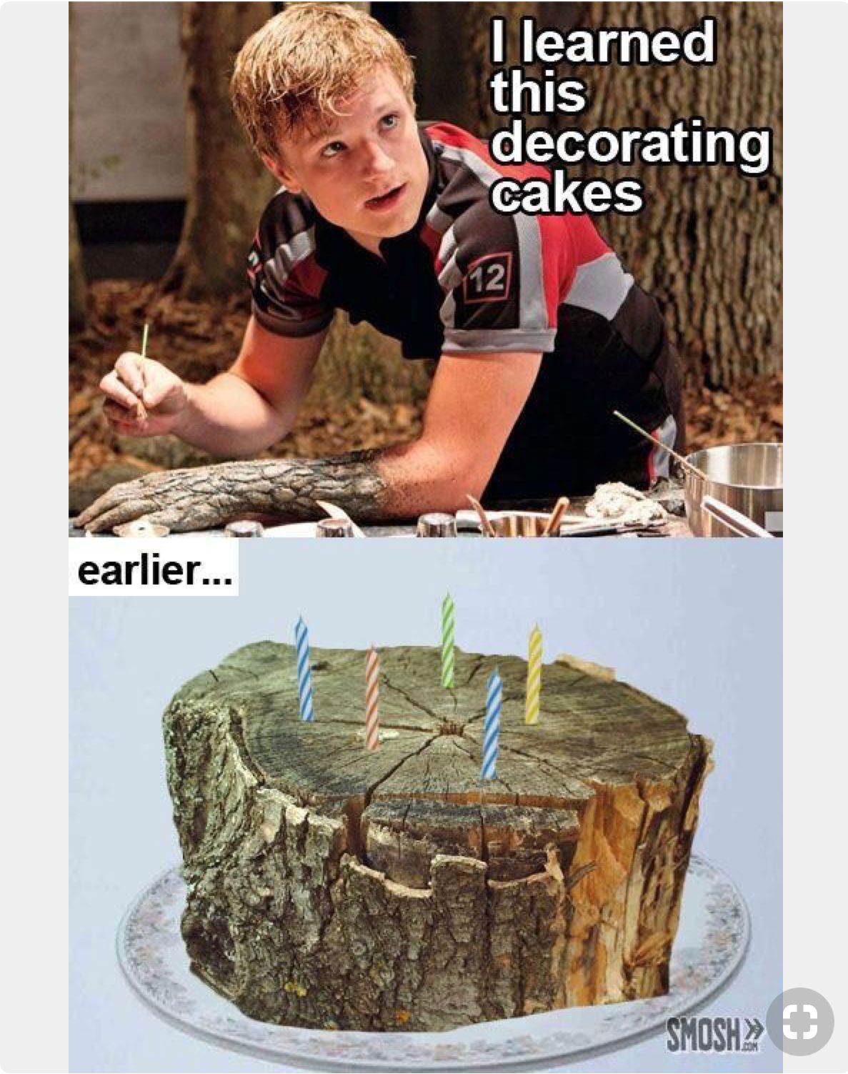 Hunger Games Meme - I Learned this Decorating Cakes