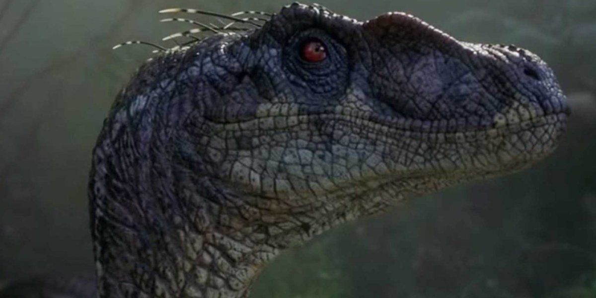Jurassic Park III Velociraptor