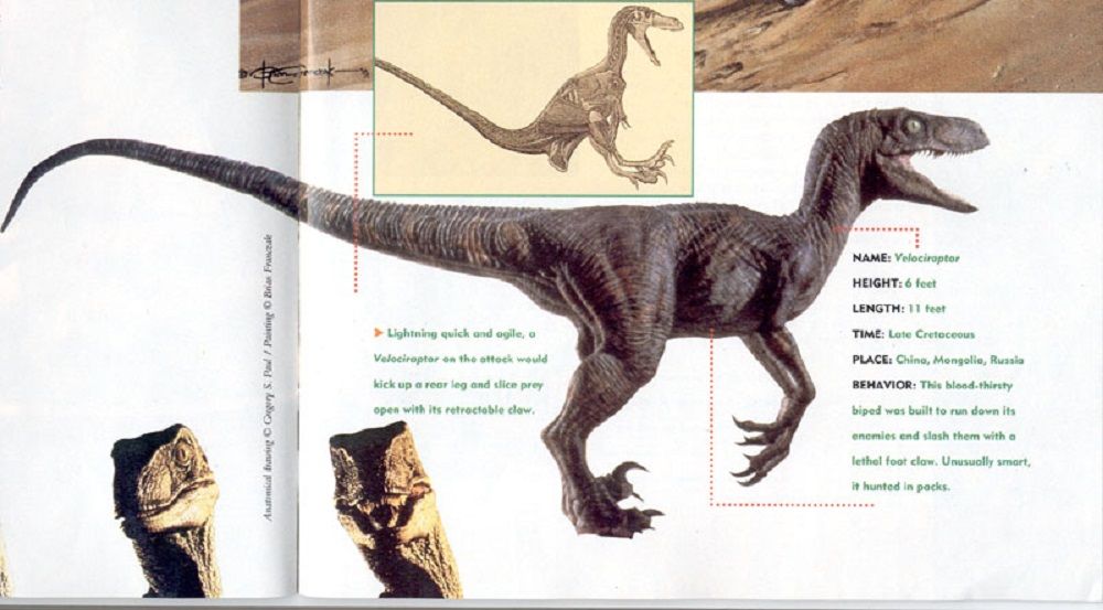 Jurassic Park Velociraptor Stats