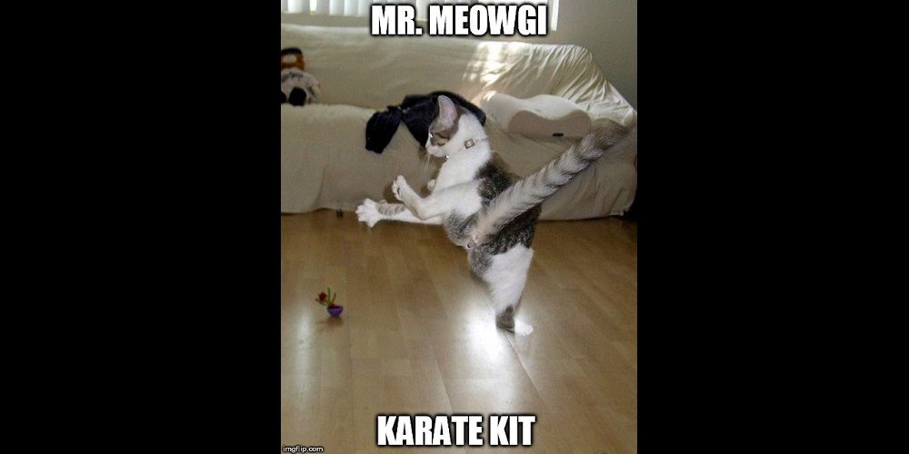 Mr Meowgi in The Karate Kat Meme