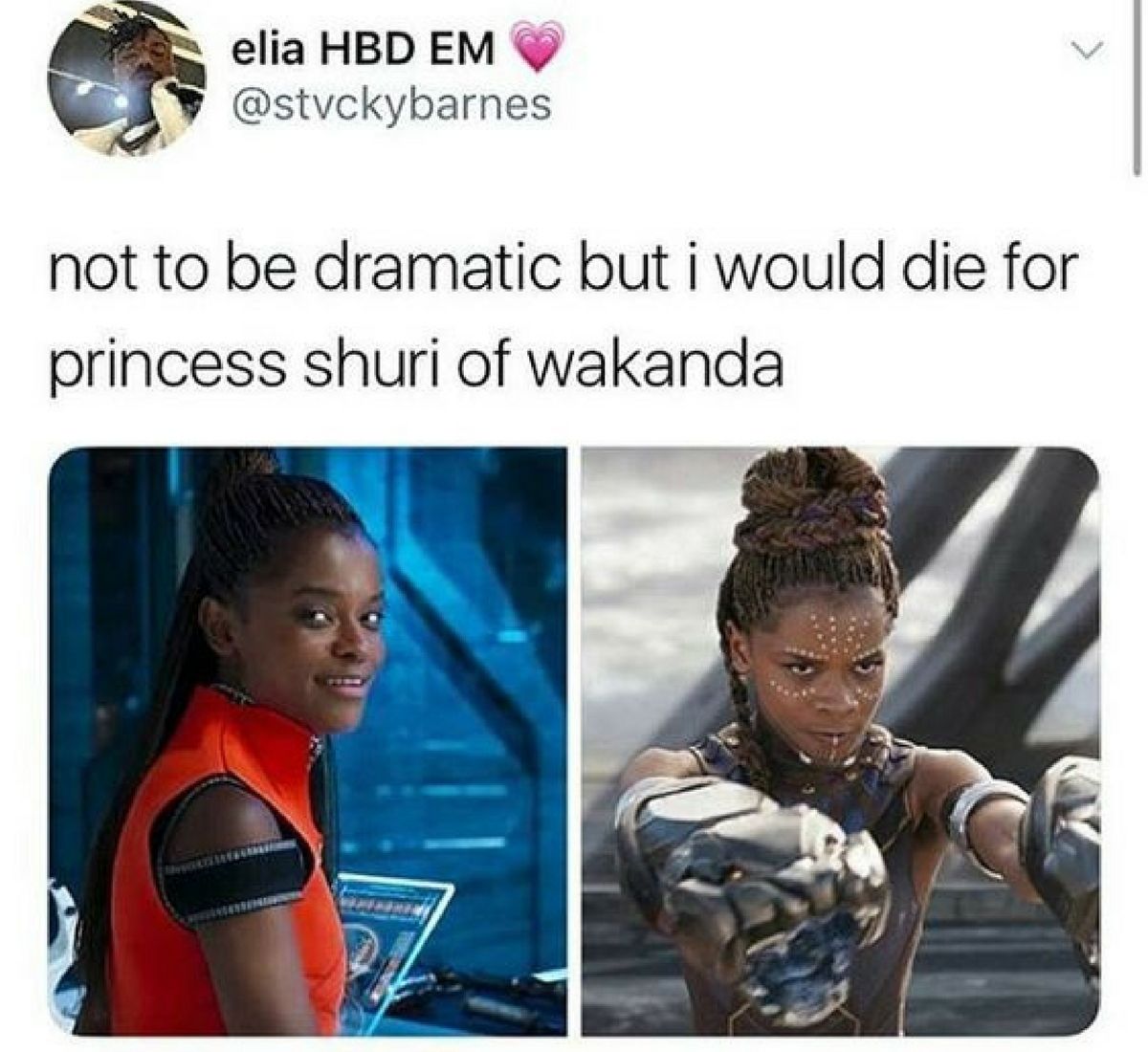 Princess Shuri Wakanda Black Panther meme