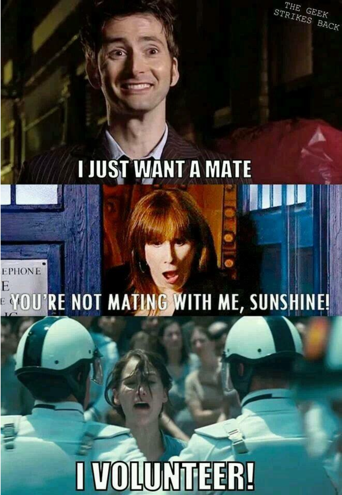 Hunger Games Meme - I Just Want a Mate - I Volunteer