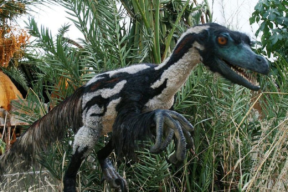 Velociraptor In Real Life