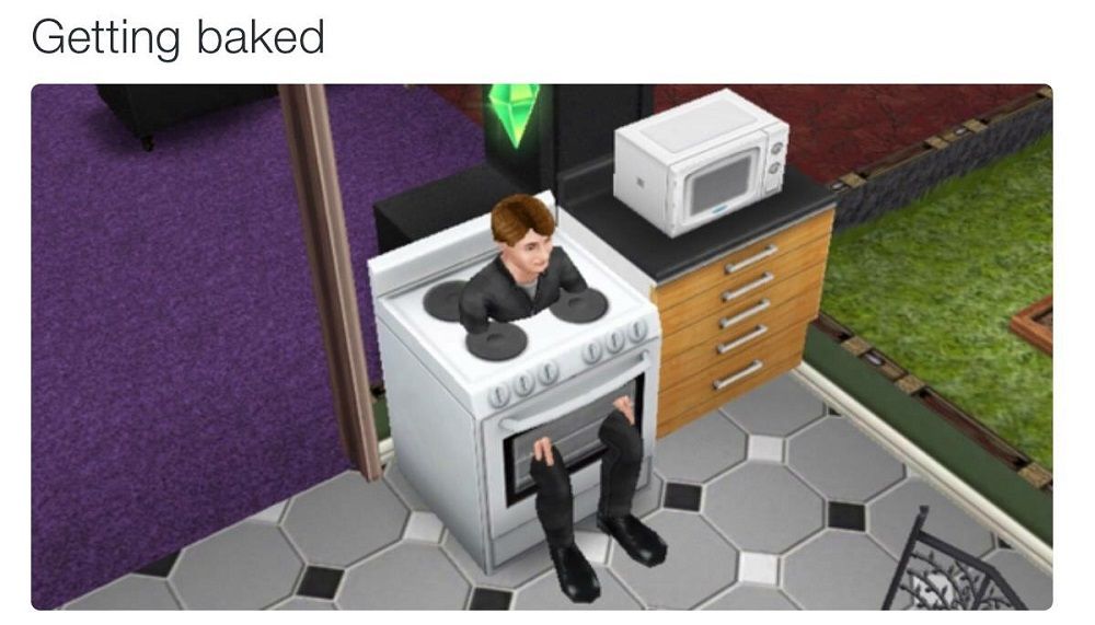 The Sims Oven Glitch