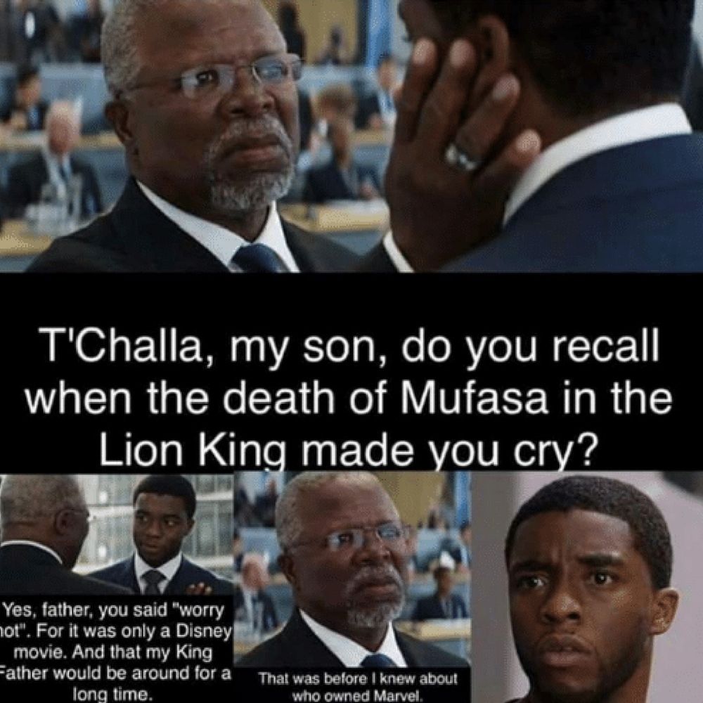 Black Panther Lion King meme