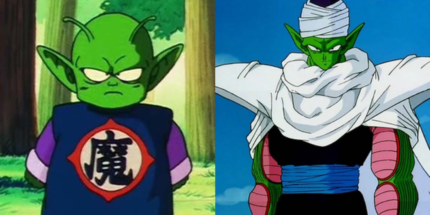 The Piccolo-Down: 15 Weird Facts About Piccolo's Body