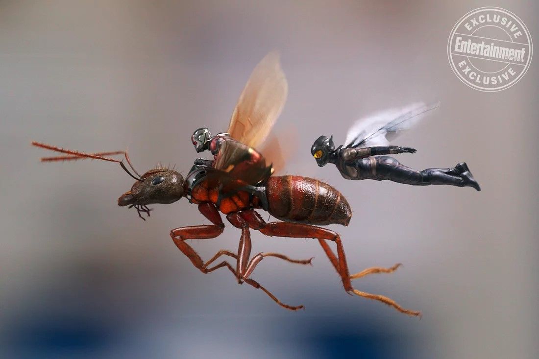 Ant-Man and the Wasp go for a flight in a new photo.