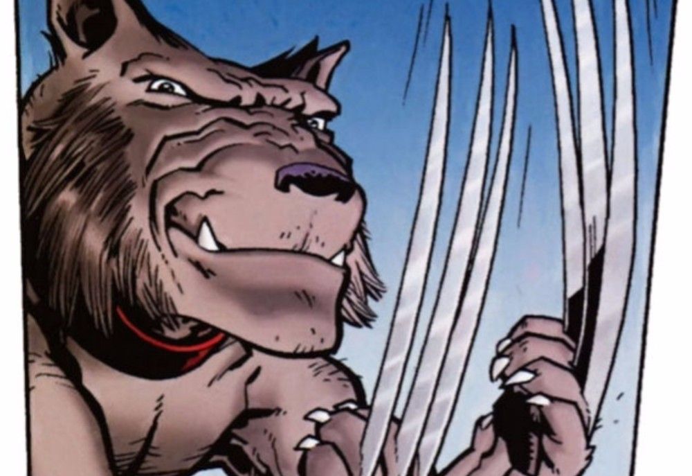 Dog Wolverine