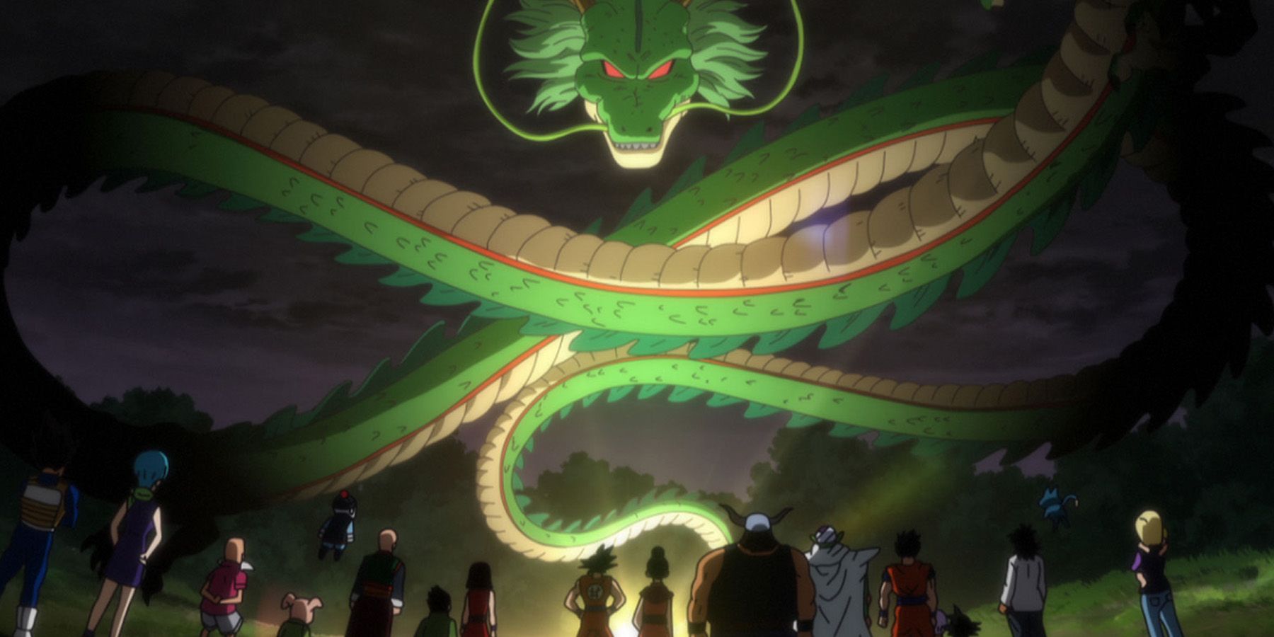 Anime Dragon Ball Dragons Shenron Z-Fighters Summon