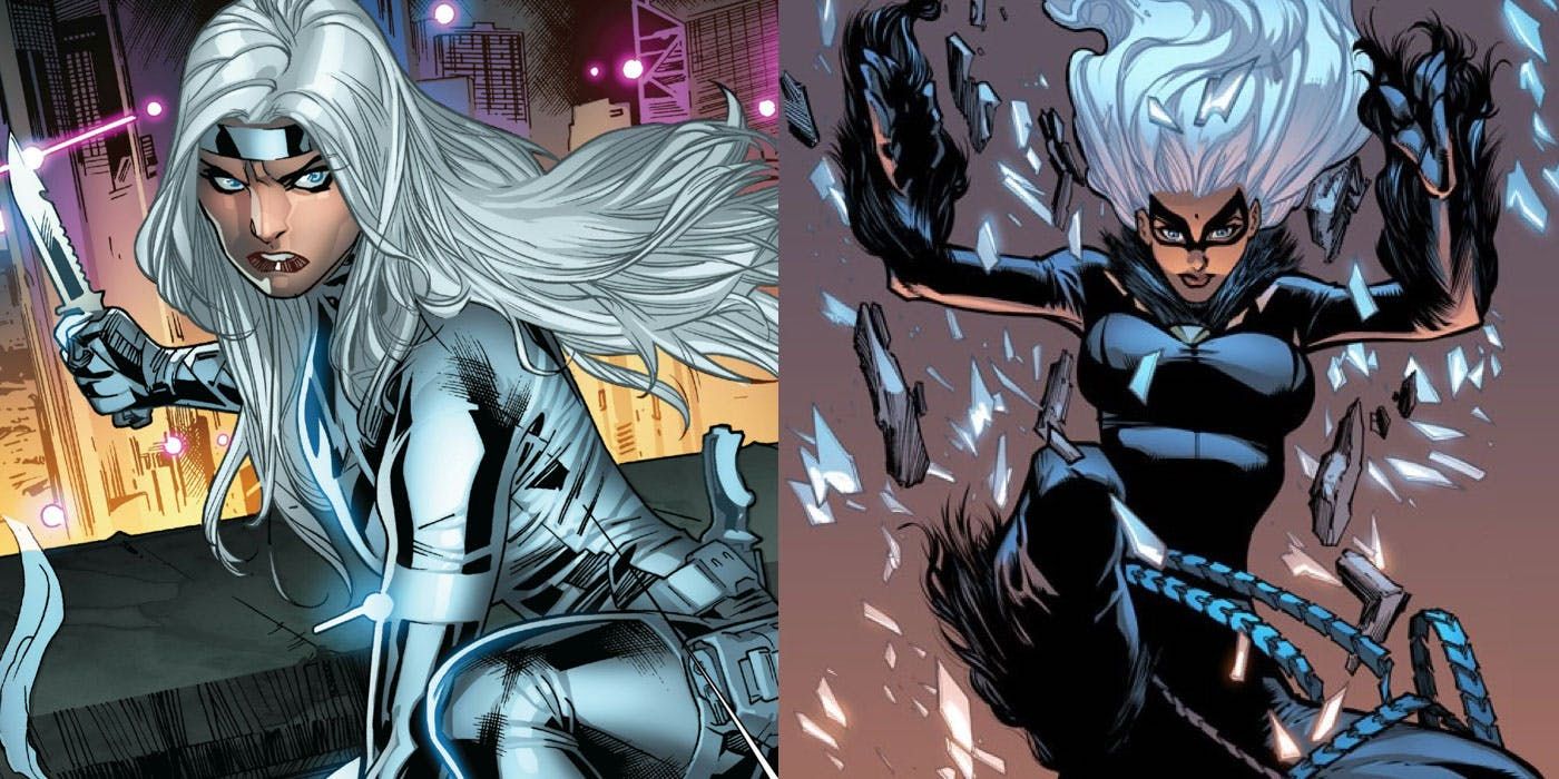 Silver-Sable-and-Black-Cat