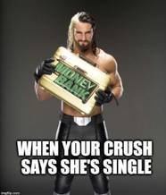 You Can t See Meme 15 WWE Memes Only True Marks Will Get You Can t See Meme 15 WWE Memes Only True Marks Will Get