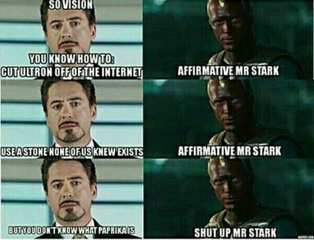 15 Hilariously Dank Vision And Scarlet Witch Memes