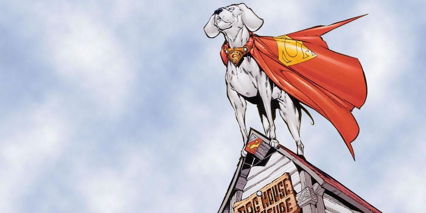 Superman's pet dog Krypto standing on his dog house from DC Comics