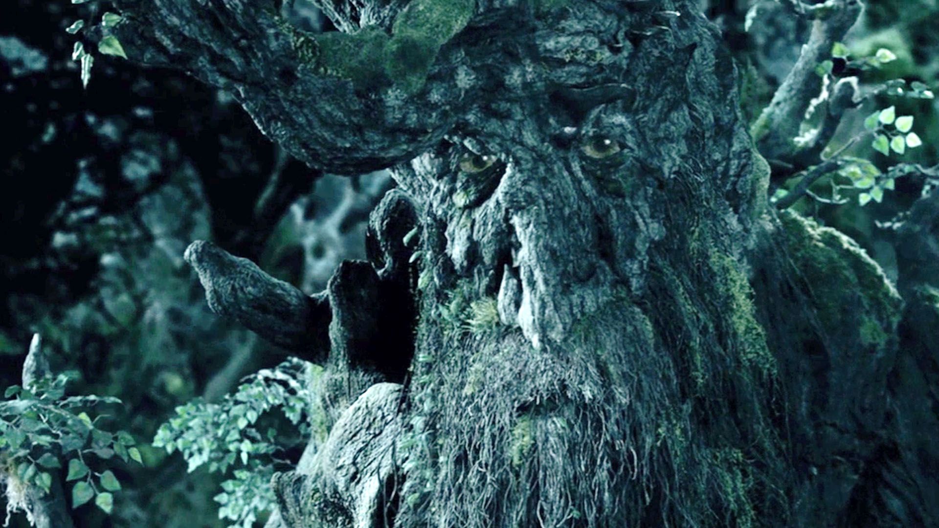 The Power Of The Ent In Lord Of The Rings | by Aslynn Roe 🐈 |  ILLUMINATION'S MIRROR | Medium