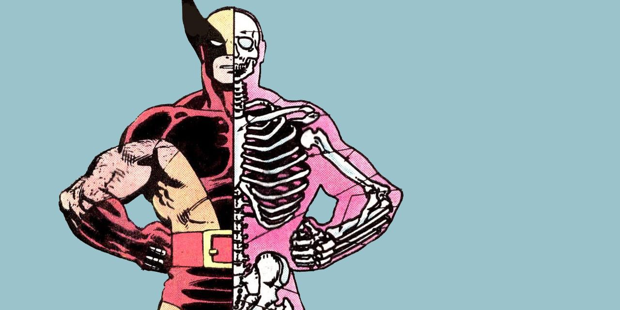 Wolverine Adamantium Skeleton