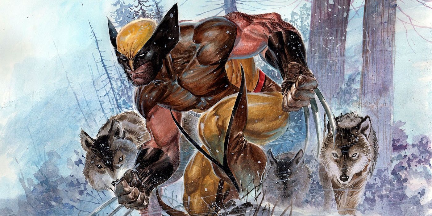 Wolverine moving through the woods with a pack of wolves